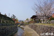 �e�������̍�