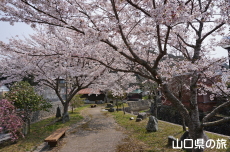 �e�������̍�