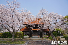 �e�������̍�