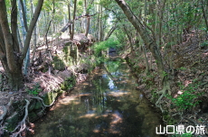 常盤湖本土手の滝
