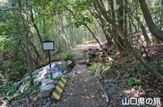 常盤湖本土手の滝