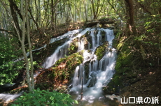 常盤湖本土手の滝