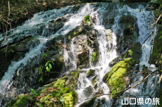 常盤湖本土手の滝
