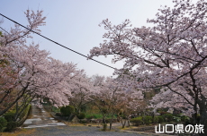 �畧���̍�