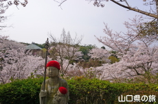 �畧���̍�