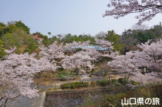 �畧���̍�