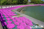 ときわ公園