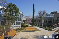 世界を旅する植物館