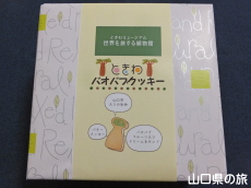 バオバブクッキー