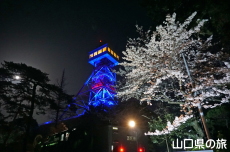 石炭記念館と桜ライトアップ