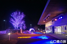 �F��̖؁X����2021