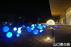 �F��̖؁X����2021