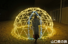 �F��̖؁X����2021