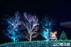 �F��̖؁X����2021