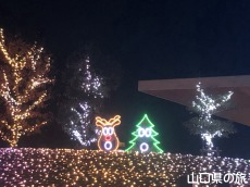 �F��̖؁X����2021