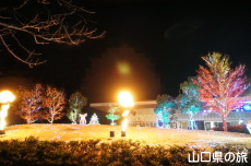 �F��̖؁X����2021