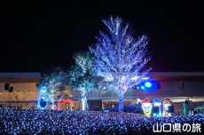 �F��̖؁X����2021