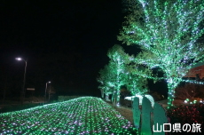 �F��̖؁X����2021