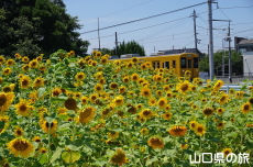 JR�۔��w�O�̂Ђ܂��