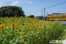 JR�w�O�̂Ђ܂��Ђ܂�蔨