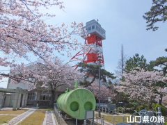 石炭記念館と桜