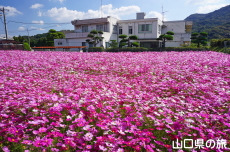 �����ӂꂠ���Z���^�[�̃R�X���X