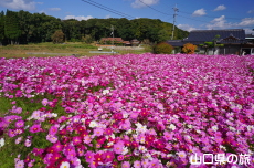 �����ӂꂠ���Z���^�[�̃R�X���X