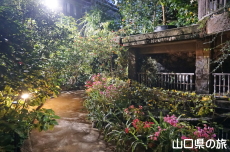 植物館ライトアップ
