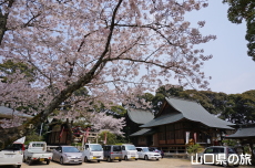 �{�������{�̍�