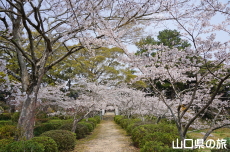 �{�������{�̍�