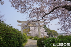 �{�������{�̍�