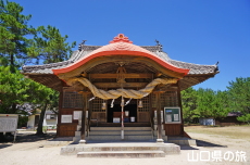 �Ô������{