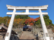 ���������{�̍g�t