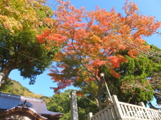 ���������{�̍g�t