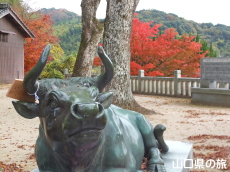 ���������{�̍g�t