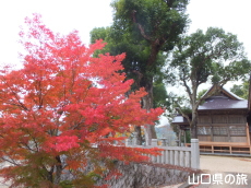 ���������{�̍g�t