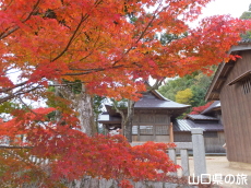 ���������{�̍g�t