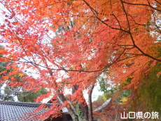 ���������{�̍g�t