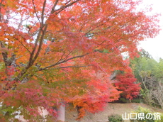 ���������{�̍g�t