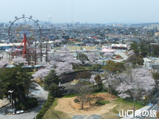�ΒY�L�O�ق��猩����