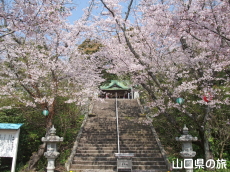 �F���썑�_�Ђ̍�