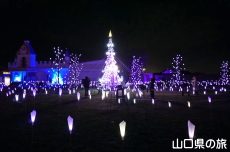 光のスワンレイク