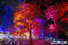 かざぐるまの丘