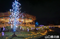 ウェルカムストリート