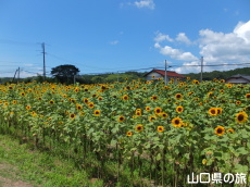 �S�b�z�̒�