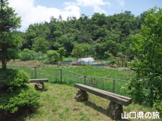 �����̃m�n�i�V���E�u