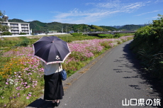 �m�ې�͐�~�̃R�X���X