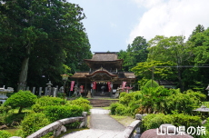 ���I�����{