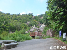 �����������