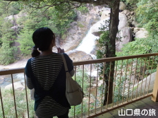 展望台から見る鳴滝